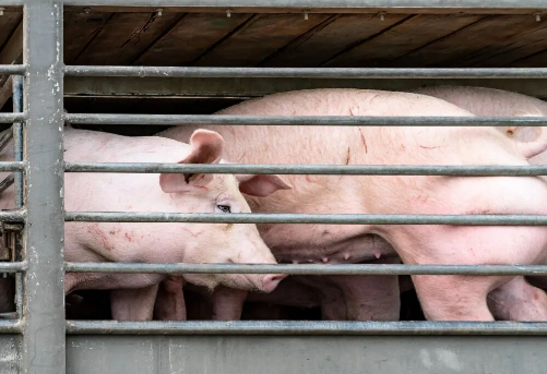 1760177065138627.png image.png